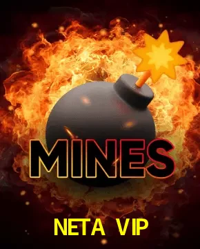 NETA VIP Mines